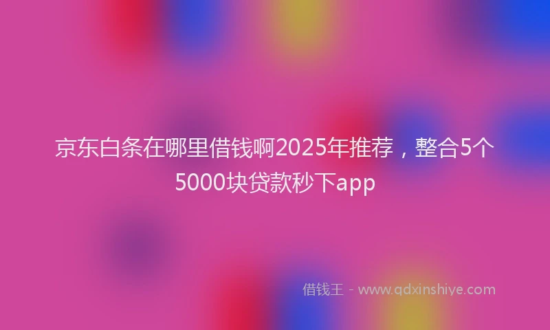 京东白条在哪里借钱啊2025年推荐，整合5个5000块贷款秒下app