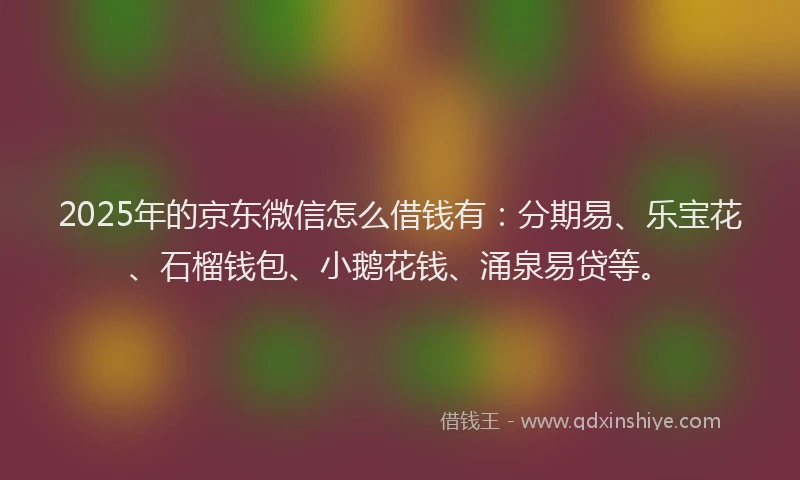 2025年的京东微信怎么借钱有：分期易、乐宝花、石榴钱包、小鹅花钱、涌泉易贷等。