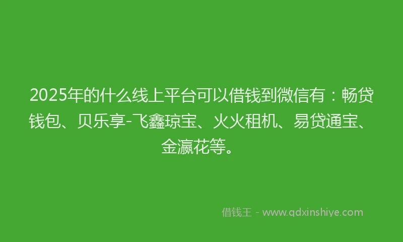 2025年的什么线上平台可以借钱到微信有：畅贷钱包、贝乐享-飞鑫琼宝、火火租机、易贷通宝、金瀛花等。