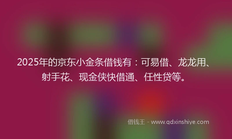 2025年的京东小金条借钱有：可易借、龙龙用、射手花、现金侠快借通、任性贷等。