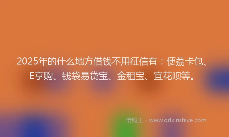 2025年的什么地方借钱不用征信有：便荔卡包、E享购、钱袋易贷宝、金租宝、宜花呗等。