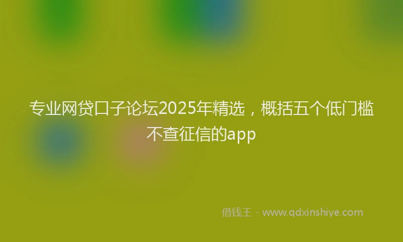 专业网贷口子论坛2025年精选，概括五个低门槛不查征信的app