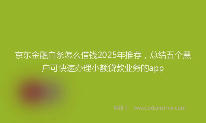 京东金融白条怎么借钱2025年推荐，总结五个黑户可快速办理小额贷款业务的app