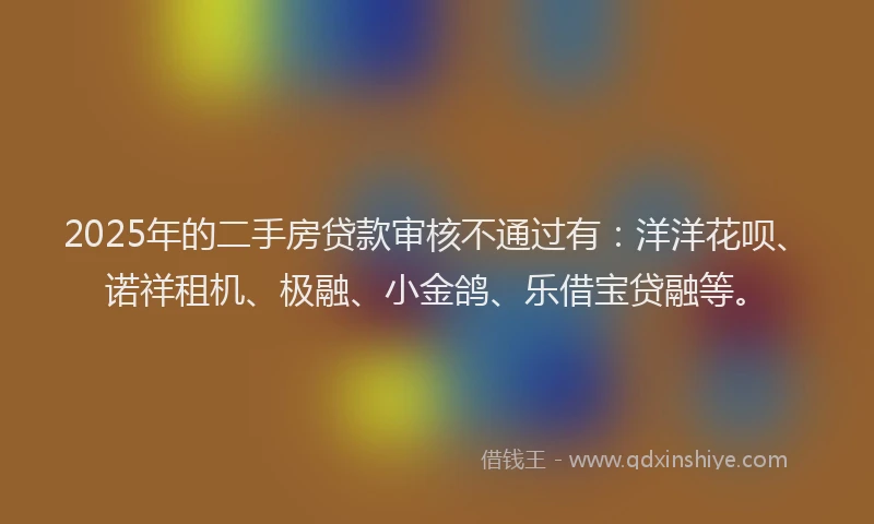 2025年的二手房贷款审核不通过有：洋洋花呗、诺祥租机、极融、小金鸽、乐借宝贷融等。