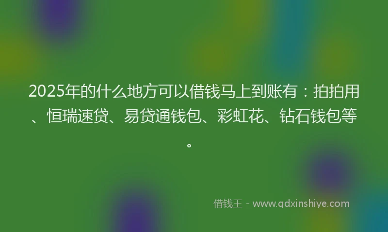 2025年的什么地方可以借钱马上到账有：拍拍用、恒瑞速贷、易贷通钱包、彩虹花、钻石钱包等。