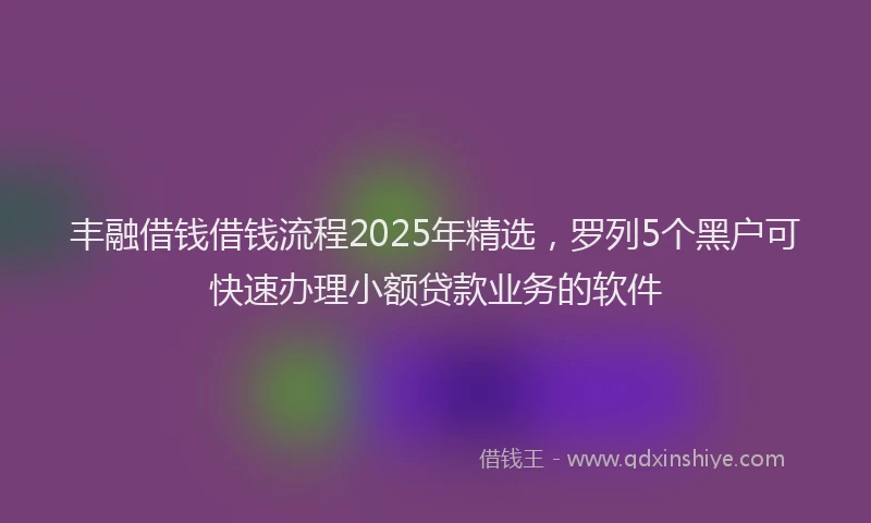 丰融借钱借钱流程2025年精选，罗列5个黑户可快速办理小额贷款业务的软件