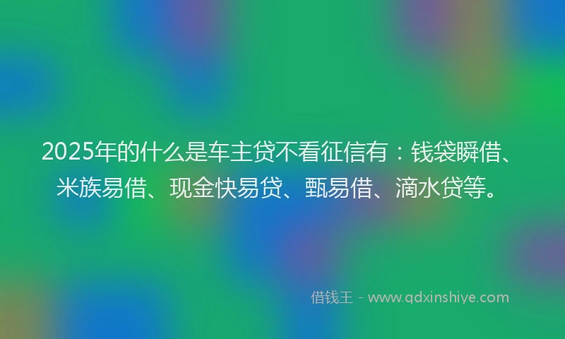 2025年的什么是车主贷不看征信有：钱袋瞬借、米族易借、现金快易贷、甄易借、滴水贷等。