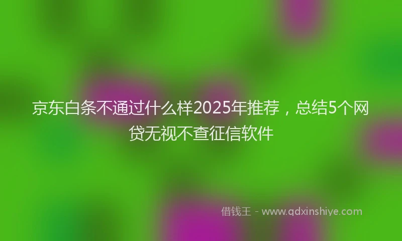 京东白条不通过什么样2025年推荐，总结5个网贷无视不查征信软件