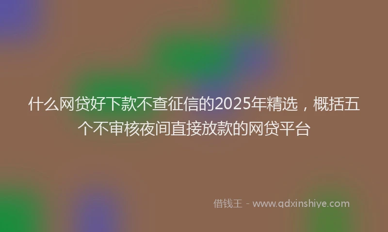 什么网贷好下款不查征信的2025年精选，概括五个不审核夜间直接放款的网贷平台
