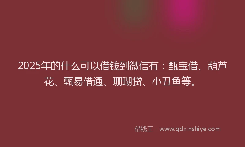2025年的什么可以借钱到微信有：甄宝借、葫芦花、甄易借通、珊瑚贷、小丑鱼等。