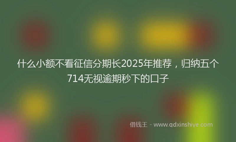 什么小额不看征信分期长2025年推荐，归纳五个714无视逾期秒下的口子