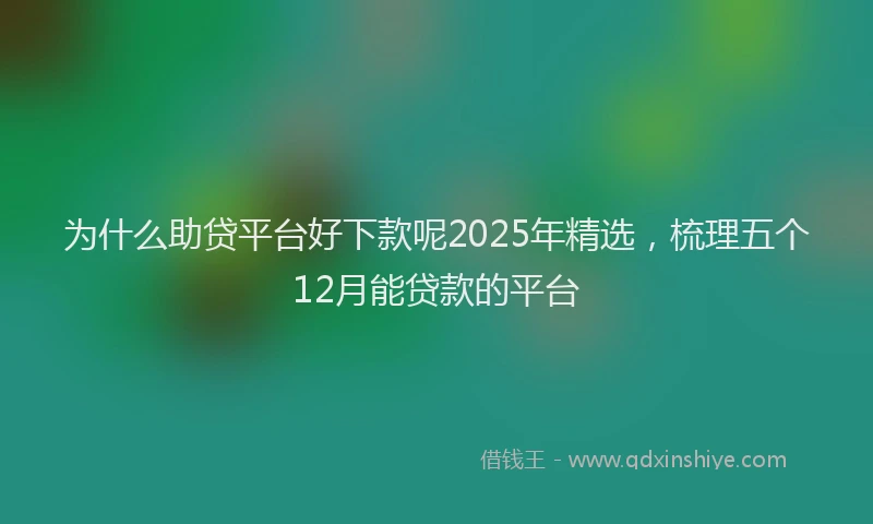 为什么助贷平台好下款呢2025年精选，梳理五个12月能贷款的平台