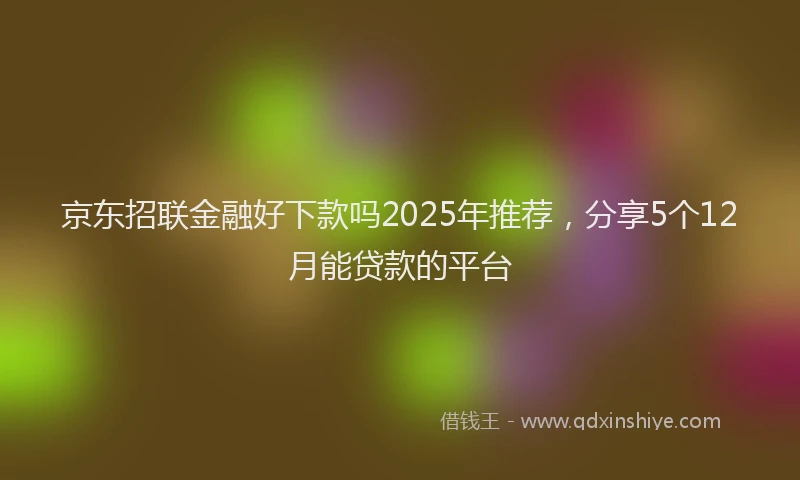 京东招联金融好下款吗2025年推荐，分享5个12月能贷款的平台
