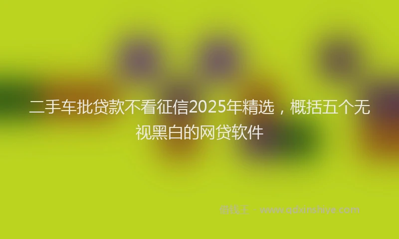 二手车批贷款不看征信2025年精选，概括五个无视黑白的网贷软件