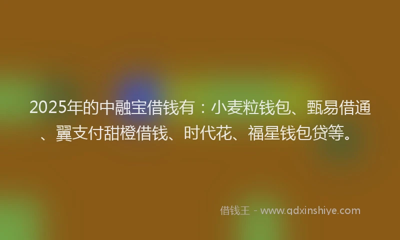 2025年的中融宝借钱有：小麦粒钱包、甄易借通、翼支付甜橙借钱、时代花、福星钱包贷等。