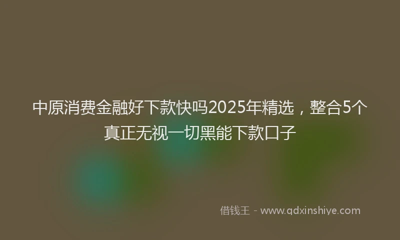 中原消费金融好下款快吗2025年精选，整合5个真正无视一切黑能下款口子