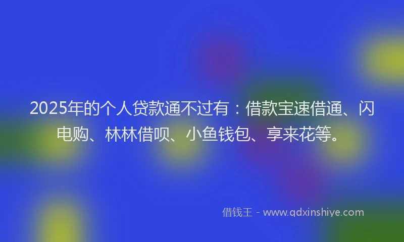 2025年的个人贷款通不过有：借款宝速借通、闪电购、林林借呗、小鱼钱包、享来花等。