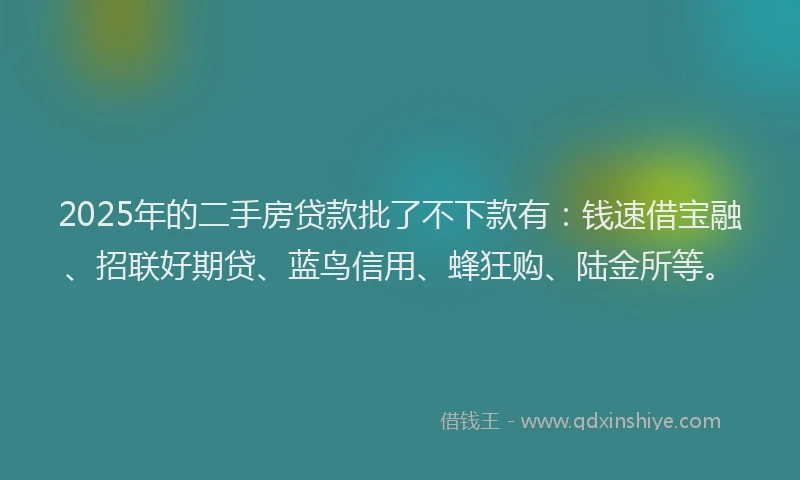 2025年的二手房贷款批了不下款有：钱速借宝融、招联好期贷、蓝鸟信用、蜂狂购、陆金所等。
