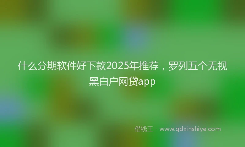 什么分期软件好下款2025年推荐，罗列五个无视黑白户网贷app