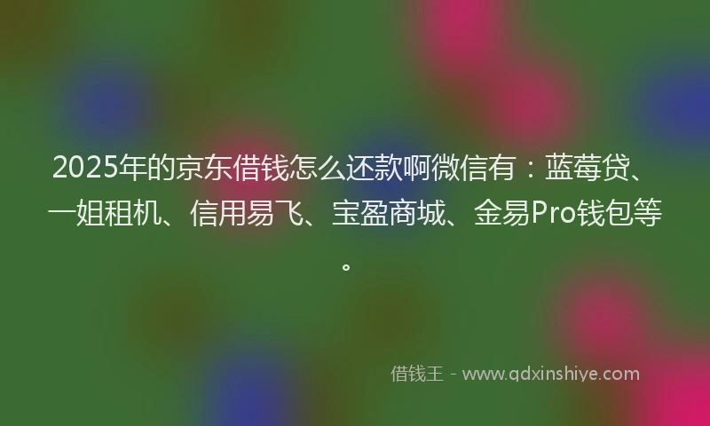 2025年的京东借钱怎么还款啊微信有：蓝莓贷、一姐租机、信用易飞、宝盈商城、金易Pro钱包等。