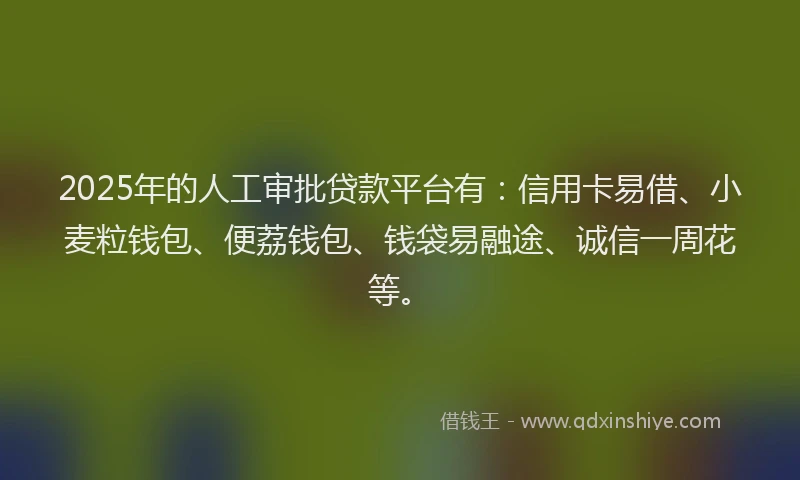 2025年的人工审批贷款平台有：信用卡易借、小麦粒钱包、便荔钱包、钱袋易融途、诚信一周花等。