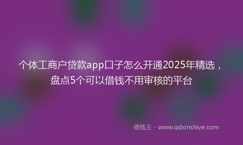 个体工商户贷款app口子怎么开通2025年精选，盘点5个可以借钱不用审核的平台