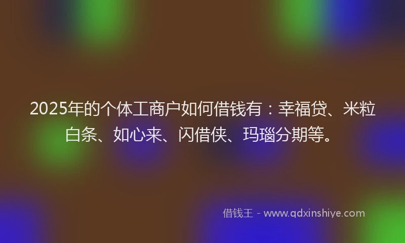 2025年的个体工商户如何借钱有：幸福贷、米粒白条、如心来、闪借侠、玛瑙分期等。