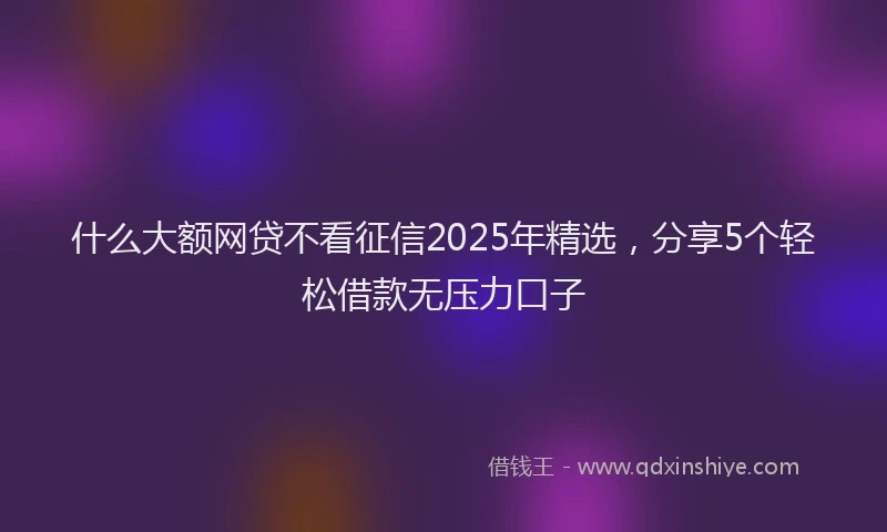 什么大额网贷不看征信2025年精选，分享5个轻松借款无压力口子