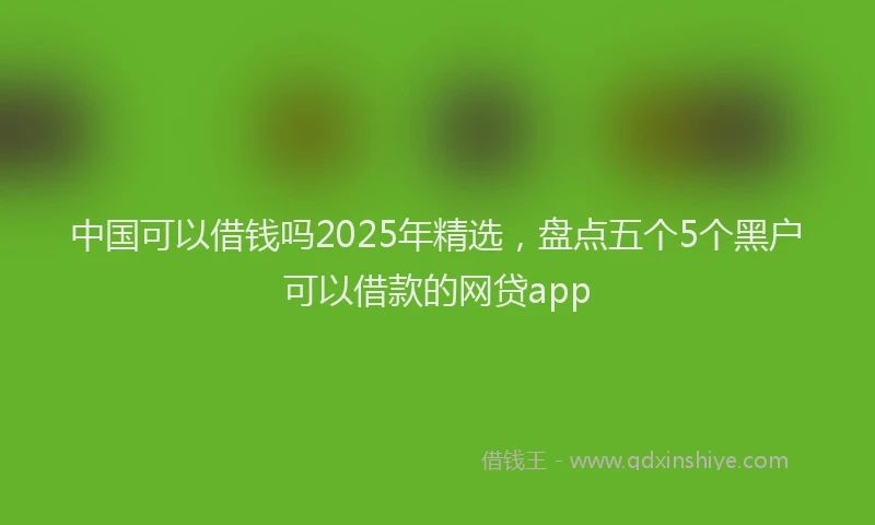 中国可以借钱吗2025年精选，盘点五个5个黑户可以借款的网贷app