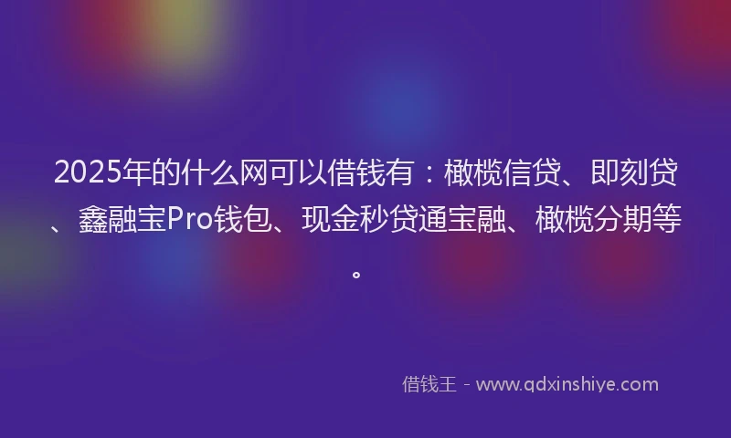2025年的什么网可以借钱有：橄榄信贷、即刻贷、鑫融宝Pro钱包、现金秒贷通宝融、橄榄分期等。