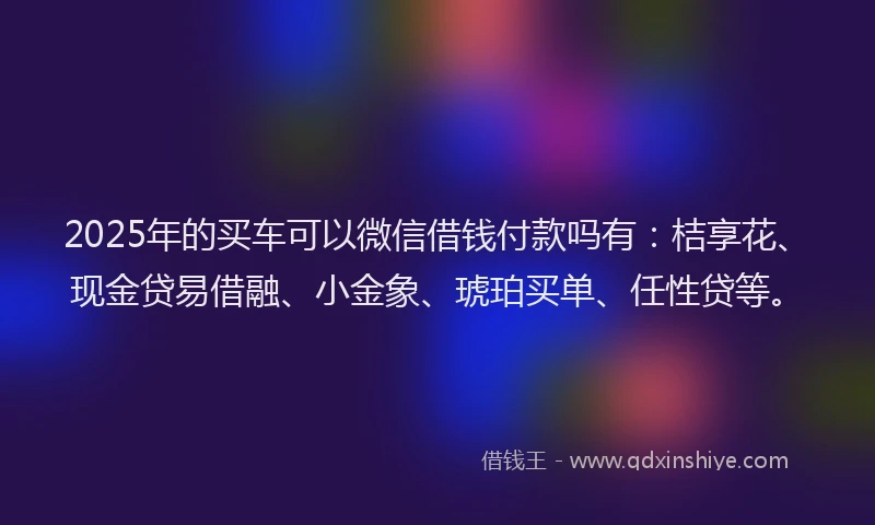 2025年的买车可以微信借钱付款吗有：桔享花、现金贷易借融、小金象、琥珀买单、任性贷等。