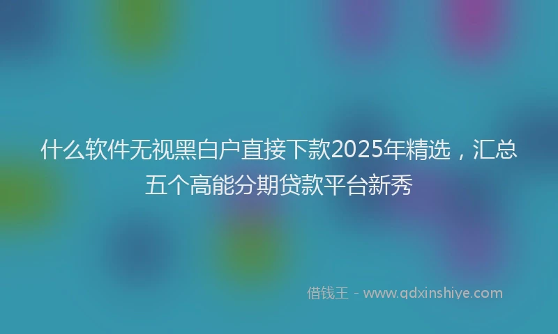 什么软件无视黑白户直接下款2025年精选，汇总五个高能分期贷款平台新秀