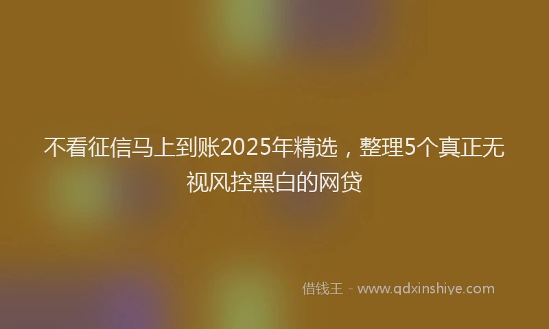 不看征信马上到账2025年精选，整理5个真正无视风控黑白的网贷