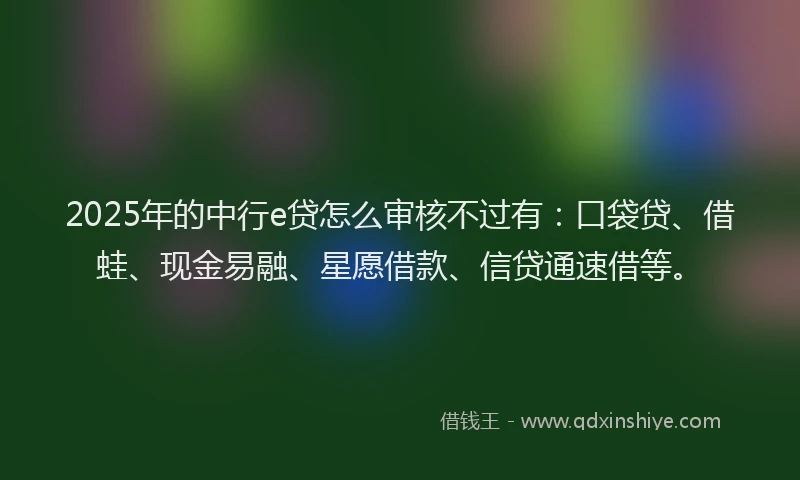 2025年的中行e贷怎么审核不过有：口袋贷、借蛙、现金易融、星愿借款、信贷通速借等。