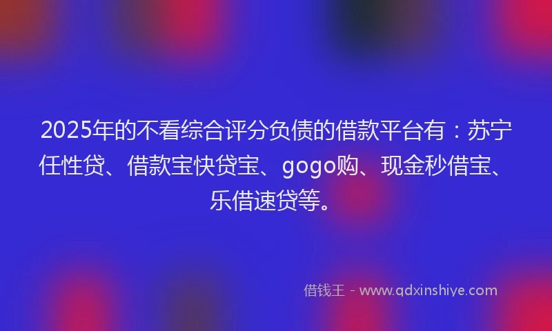 2025年的不看综合评分负债的借款平台有：苏宁任性贷、借款宝快贷宝、gogo购、现金秒借宝、乐借速贷等。