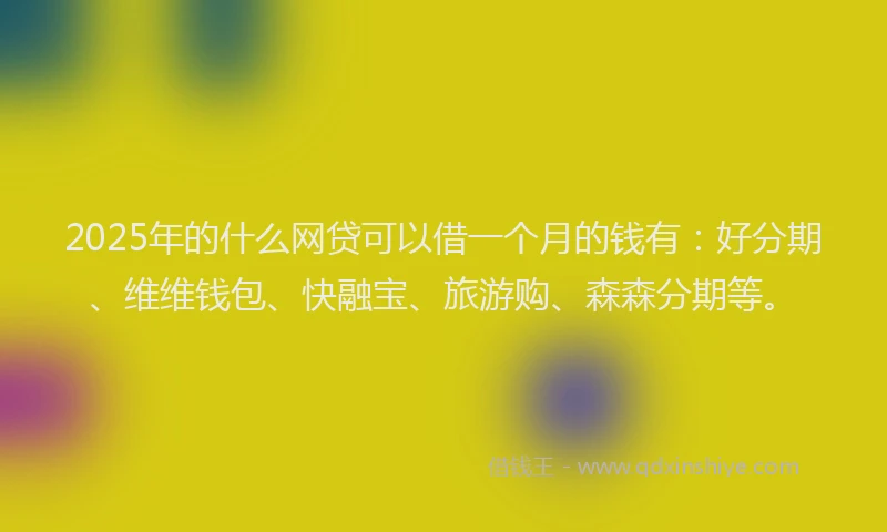 2025年的什么网贷可以借一个月的钱有：好分期、维维钱包、快融宝、旅游购、森森分期等。