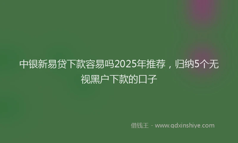 中银新易贷下款容易吗2025年推荐，归纳5个无视黑户下款的口子