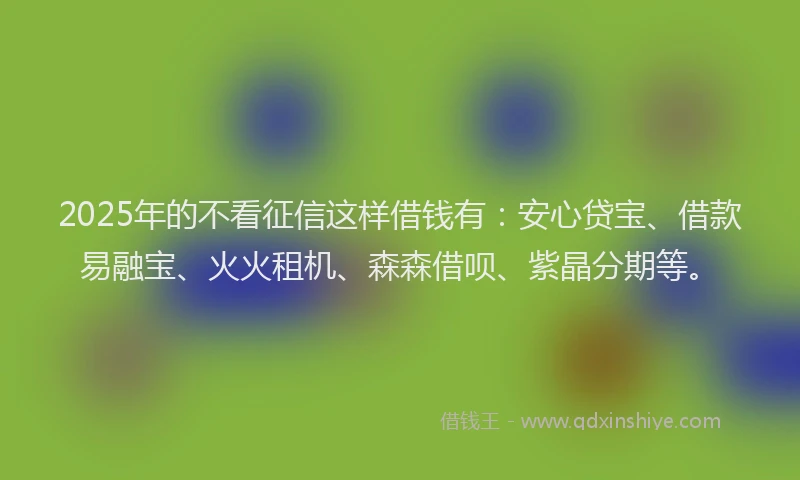 2025年的不看征信这样借钱有：安心贷宝、借款易融宝、火火租机、森森借呗、紫晶分期等。