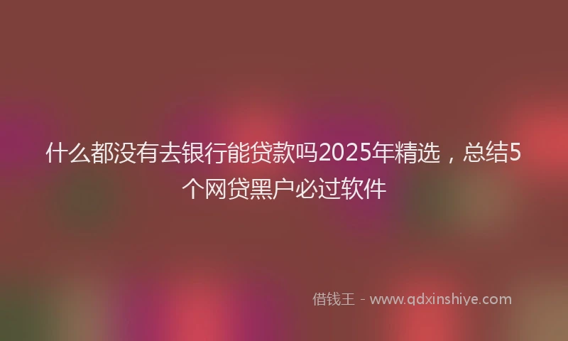 什么都没有去银行能贷款吗2025年精选，总结5个网贷黑户必过软件