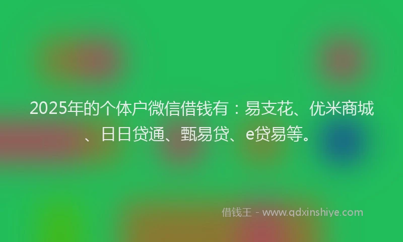 2025年的个体户微信借钱有：易支花、优米商城、日日贷通、甄易贷、e贷易等。