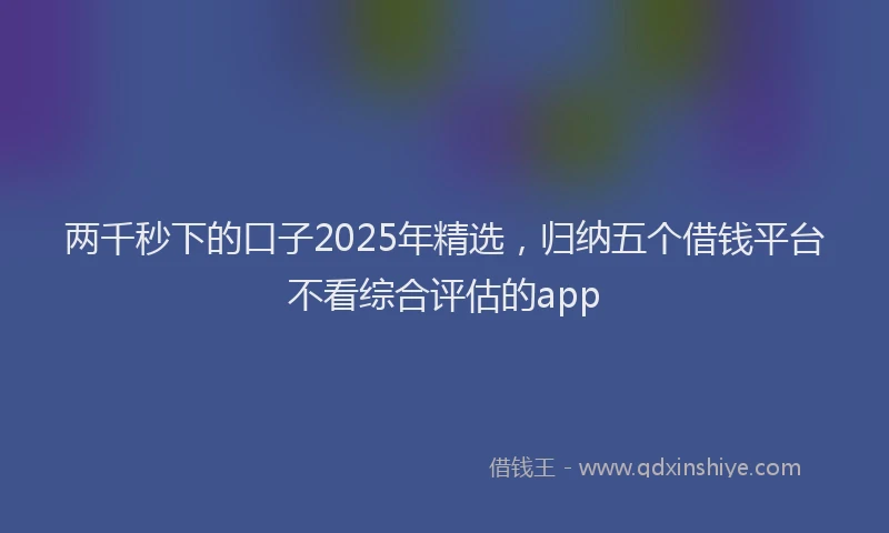 两千秒下的口子2025年精选，归纳五个借钱平台不看综合评估的app
