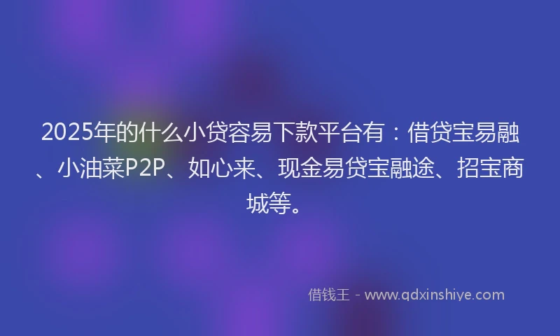 2025年的什么小贷容易下款平台有：借贷宝易融、小油菜P2P、如心来、现金易贷宝融途、招宝商城等。