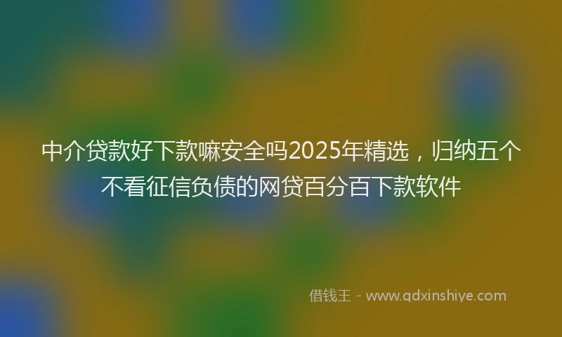 中介贷款好下款嘛安全吗2025年精选，归纳五个不看征信负债的网贷百分百下款软件
