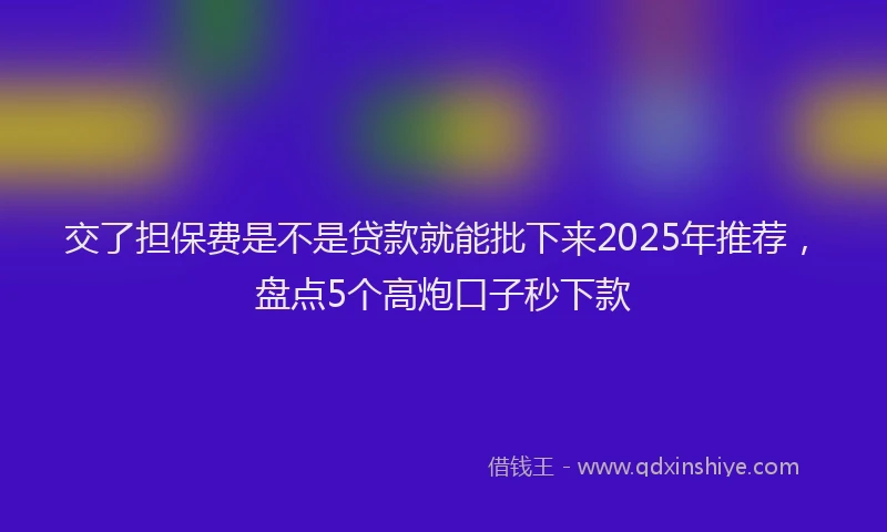 交了担保费是不是贷款就能批下来2025年推荐，盘点5个高炮口子秒下款
