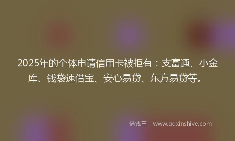 2025年的个体申请信用卡被拒有：支富通、小金库、钱袋速借宝、安心易贷、东方易贷等。