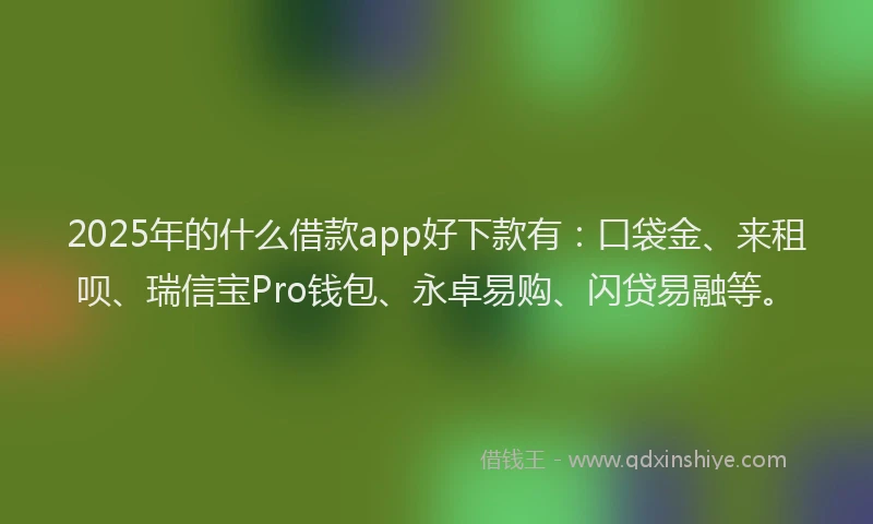 2025年的什么借款app好下款有：口袋金、来租呗、瑞信宝Pro钱包、永卓易购、闪贷易融等。