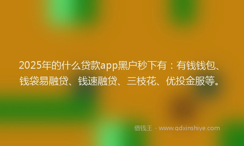 2025年的什么贷款app黑户秒下有：有钱钱包、钱袋易融贷、钱速融贷、三枝花、优投金服等。