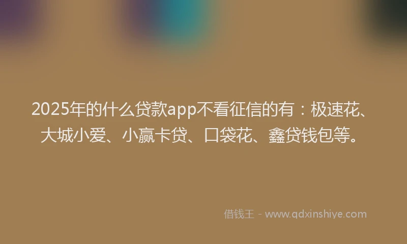 2025年的什么贷款app不看征信的有：极速花、大城小爱、小赢卡贷、口袋花、鑫贷钱包等。