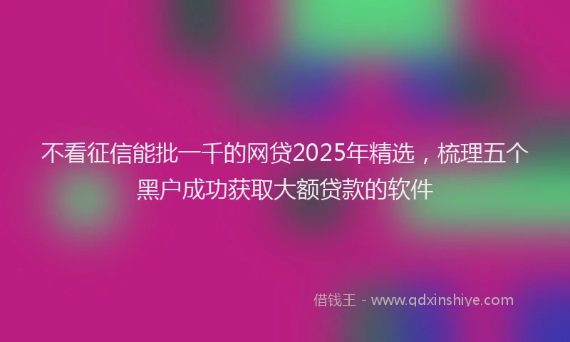 不看征信能批一千的网贷2025年精选，梳理五个黑户成功获取大额贷款的软件