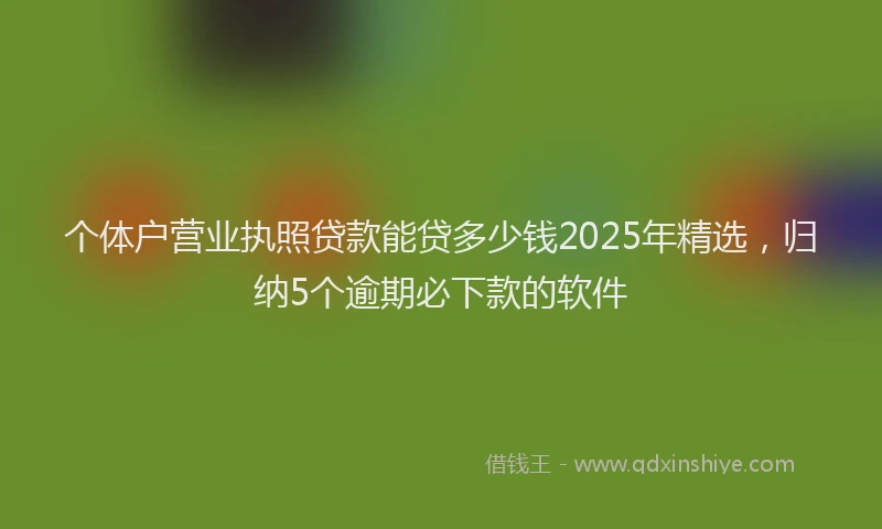个体户营业执照贷款能贷多少钱2025年精选，归纳5个逾期必下款的软件